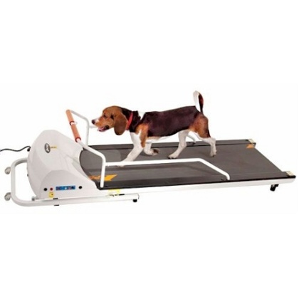 PetRun PR720F Dog Treadmill