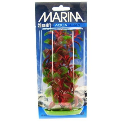 Marina Red Ludwigia Plant - 8\