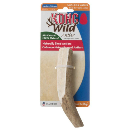 Kong Wild Whole Elk Antler Dog Chew - Medium (Dogs 25-65 lbs)